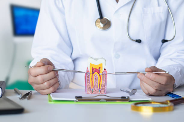 Best Emergency Broken Tooth Repair in Waterloo, WI
